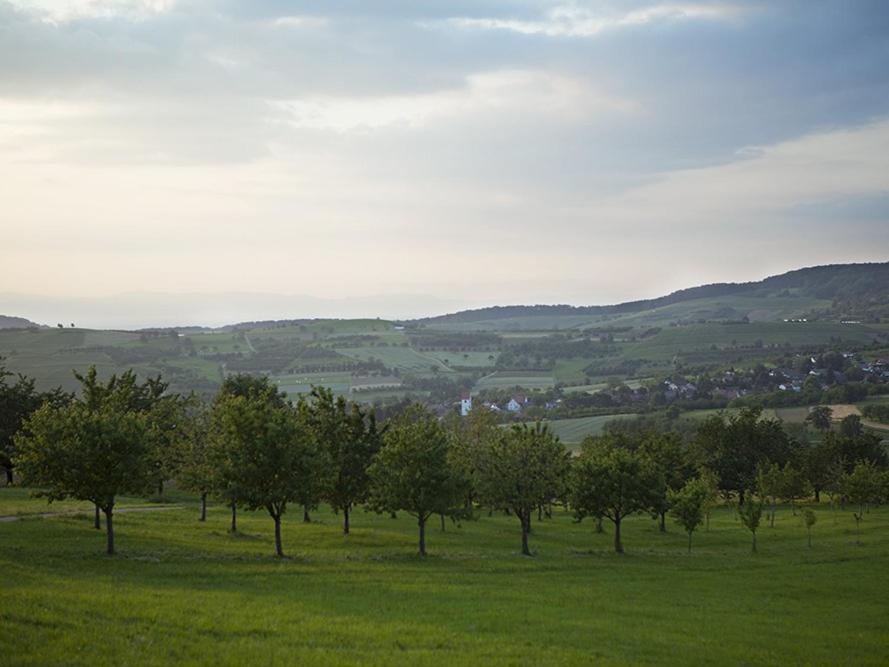 Landhotel Graf Obereggenen Екстериор снимка